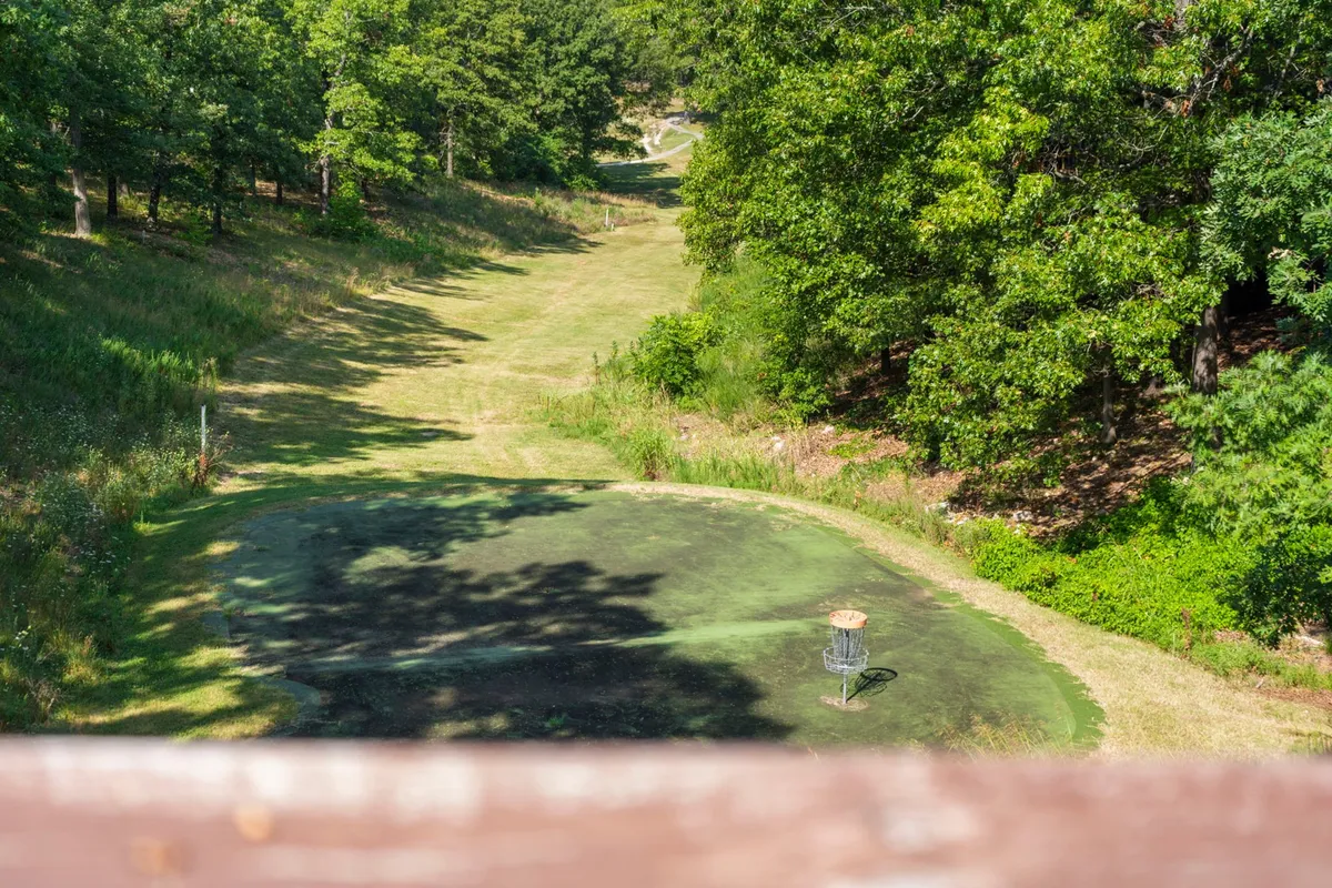 A disc golf basket set in a peaceful, green area with winding paths and trees, inviting guests to enjoy an outdoor sport amidst nature.