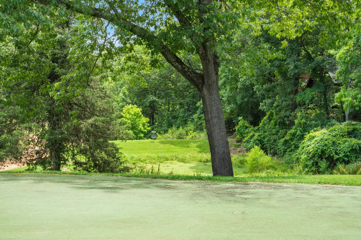 A wide open area filled with lush green grass, large trees, and plenty of sunlight streaming through. The open space is inviting for walks, play, and picnics in nature, with plenty of room for pets and their owners to explore and unwind.